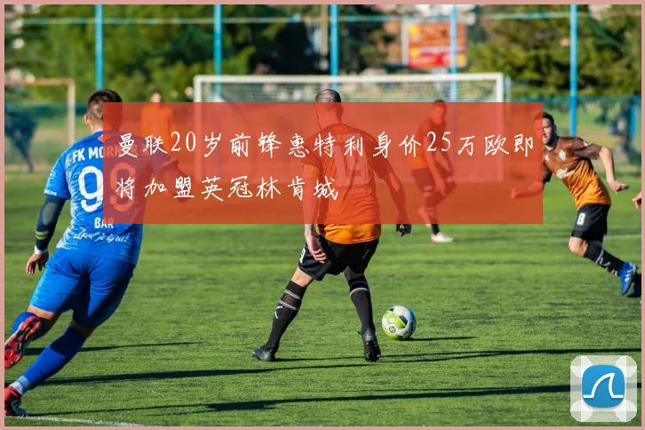 曼联20岁前锋惠特利身价25万欧即将加盟英冠林肯城
