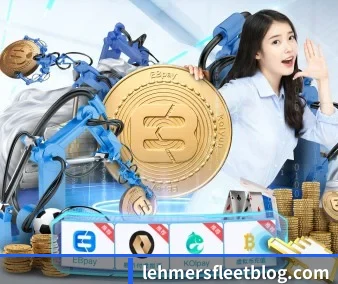 从此观赛更有深度